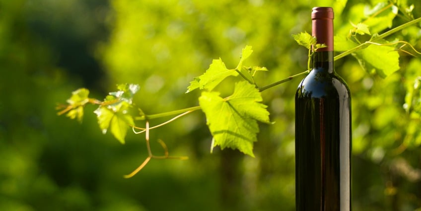 que son los vinos ecologicos y biodinamicos