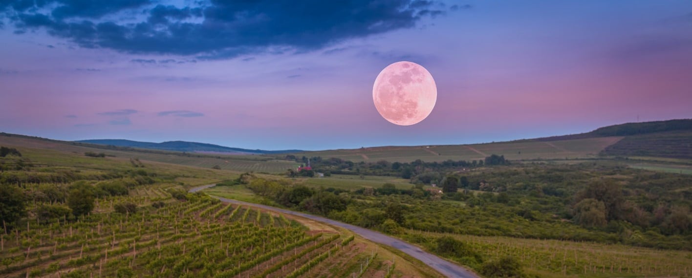 ciclo de la luna en el vino