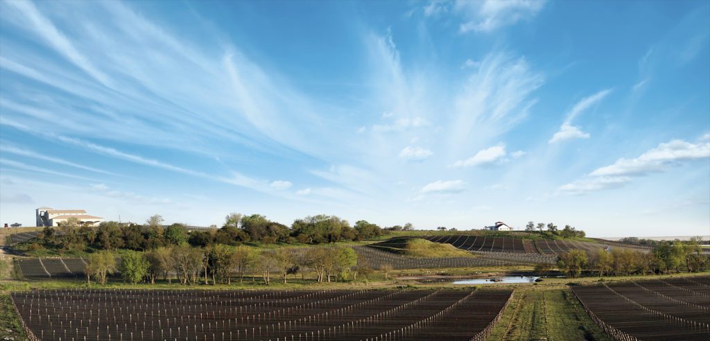 borderio vino en entre rios argentina