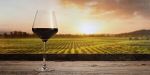 Vinos y altas temperaturas