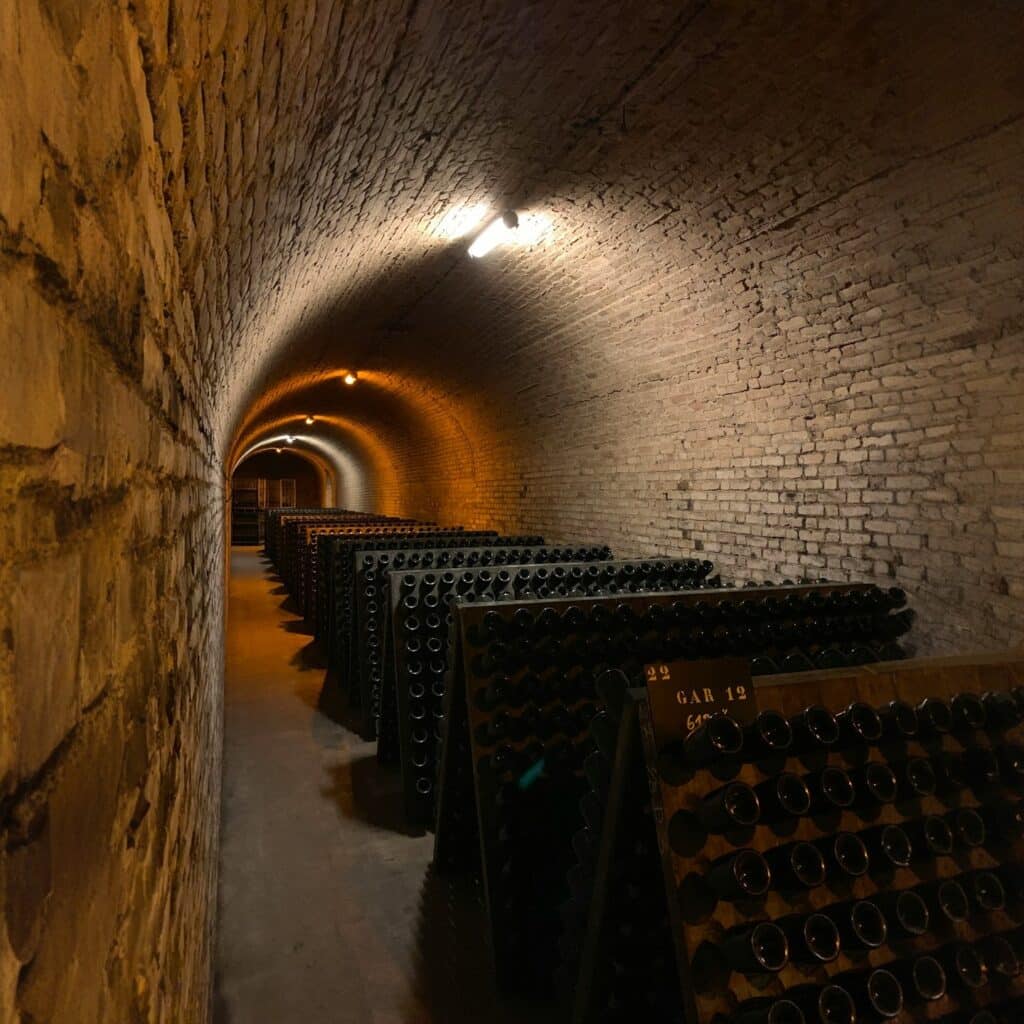 cavadevinos