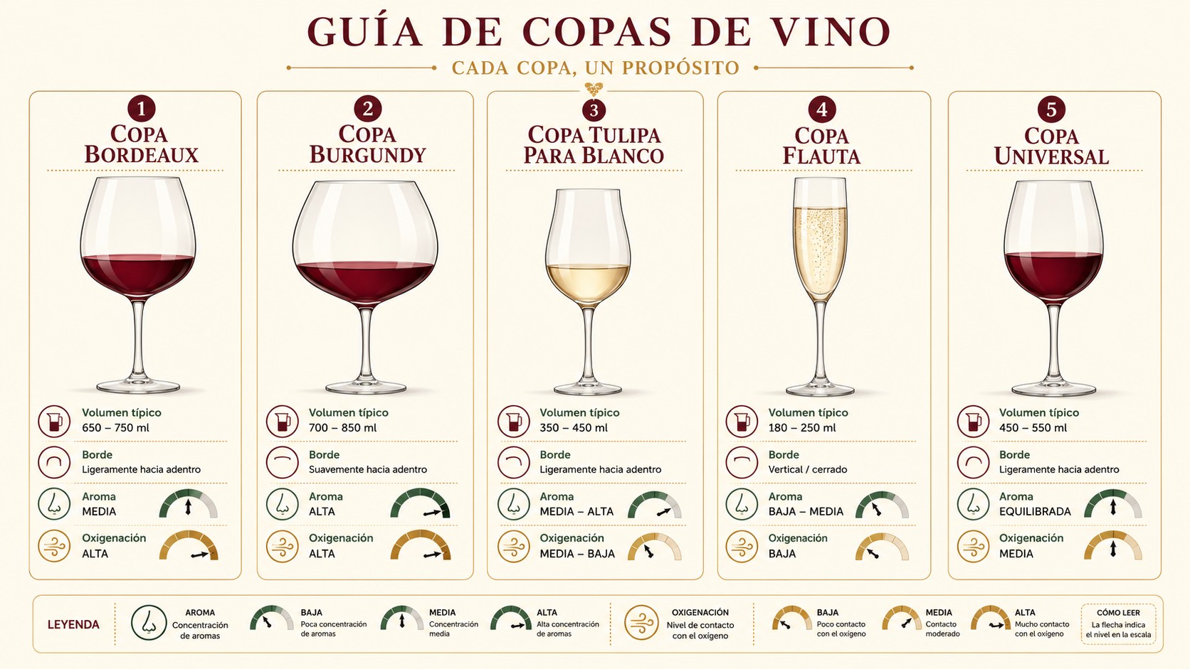 copa para cada vino diagrama explicativo