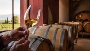 Proceso de elaboración del vino Chardonnay en Argentina - Manos de un enólogo sosteniendo una copa de vino blanco dorado frente a una hilera de barric