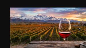 Vinos Bodega Trapiche - Excelencia Argentina en Cada Botella - Copa de vino tinto con reflejos rubí sobre una mesa de madera de tonin rústica, al fond