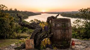 Descubrí la historia de los vinos de Entre Ríos 5 Descubrí la historia de los vinos de Entre Ríos - Una vid centenaria retorcida abrazando un viejo tonel de roble, con el río Paraná de fondo al atarde