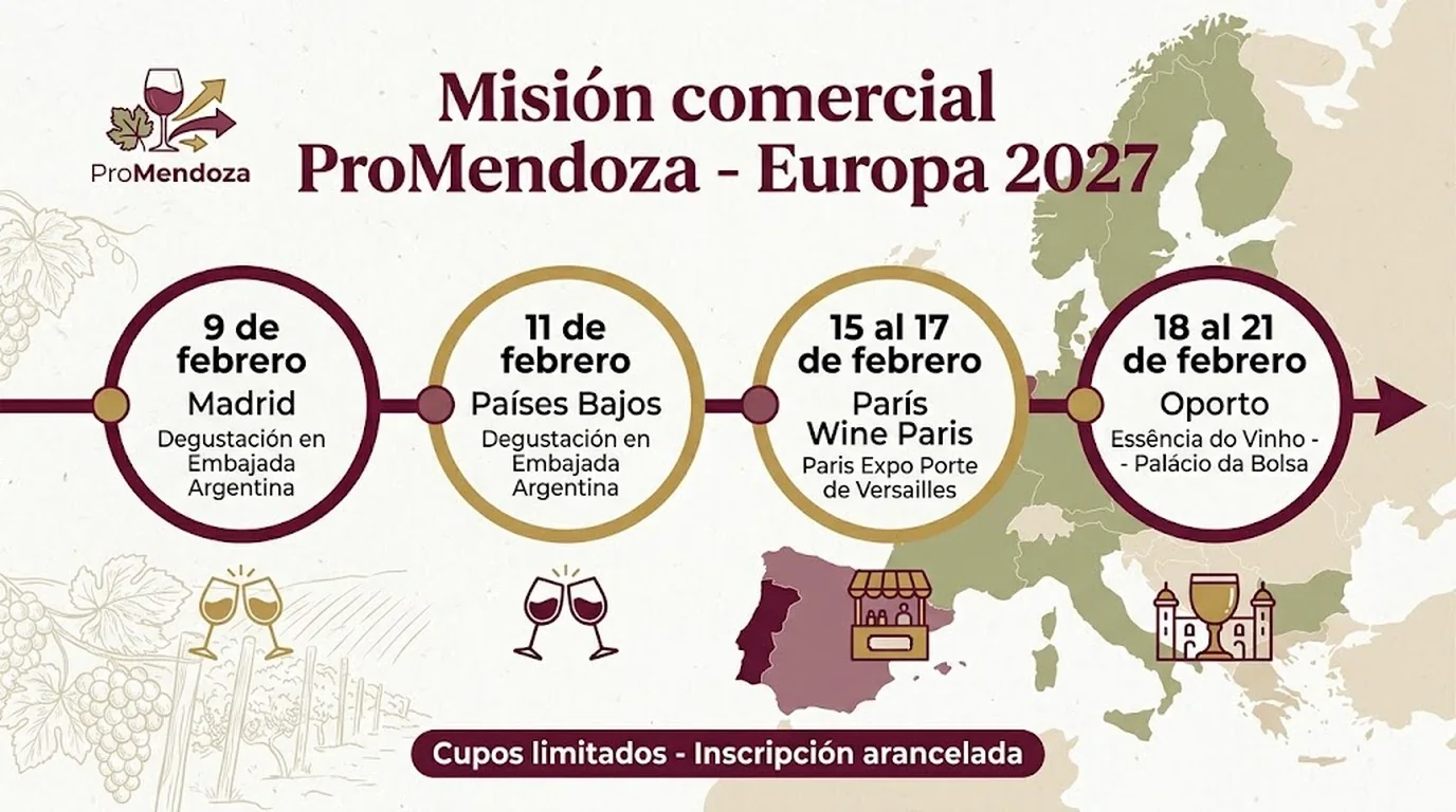 wine paris 2027 diagrama explicativo