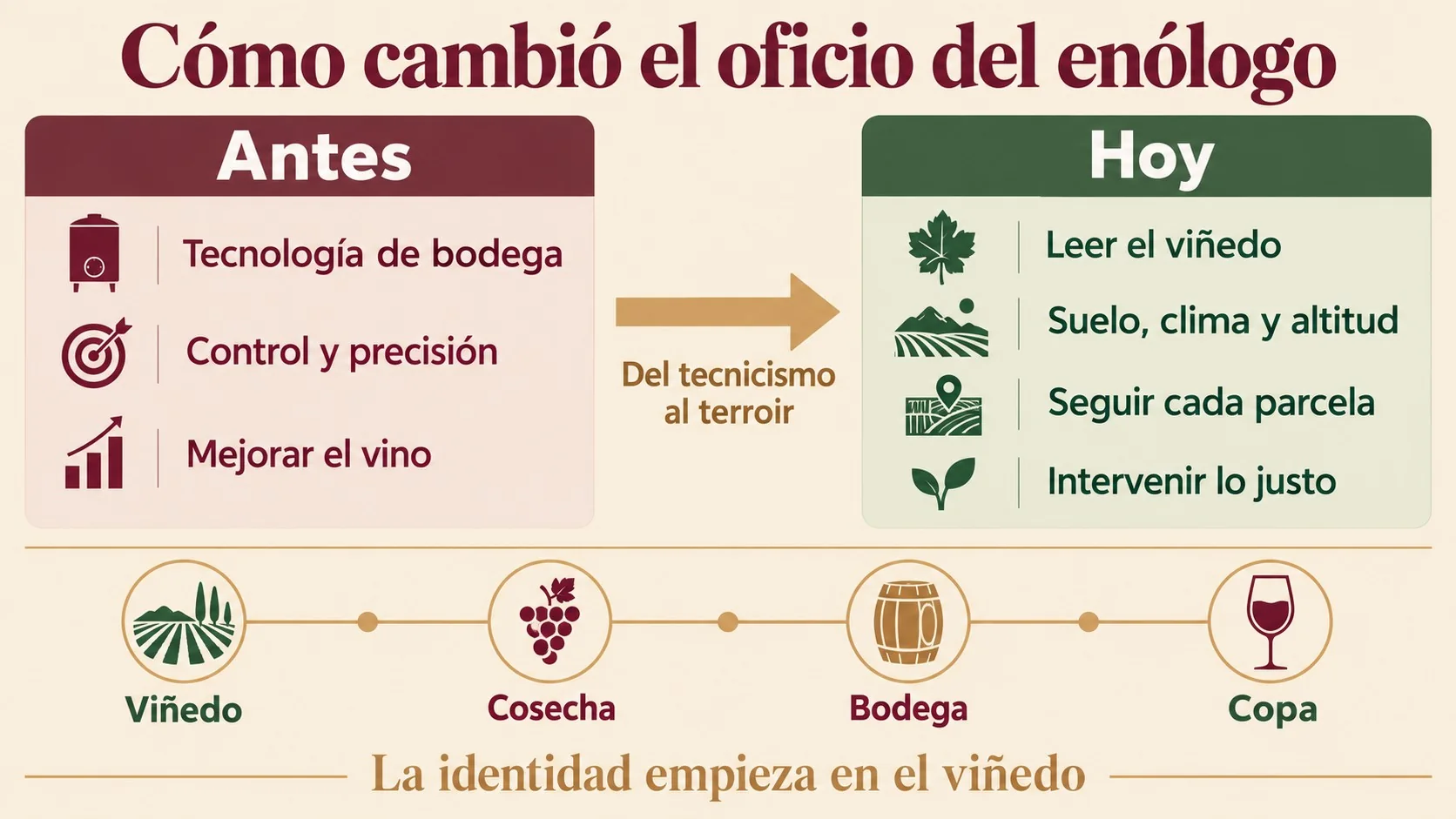 Terroir argentino: así cambió el oficio del enólogo 1 terroir argentino diagrama explicativo