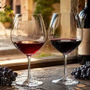 Bonarda vs Malbec: ¿cuál es el vino argentino? - ilustracion