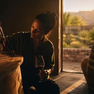 Expandir con: ["Cómo catar un Malbec argentino: características específicas", "Colores y matices del Malbec según su origen (Mendoza, Luján de Cuyo, Valle de Uco)", "Aromas típicos del Malbec: ciruela, violeta, especias y madera", "En boca: taninos, acidez y cuerpo del Malbec", "Cómo distinguir un Malbec joven de uno con crianza en roble", "Temperatura ideal y decantación del Malbec"] - ilustracion