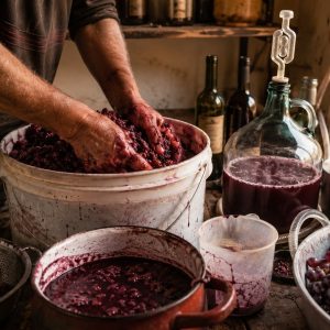 How do i make cheap wine! - ilustracion