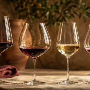Qué copa para cada vino: guía completa - ilustracion