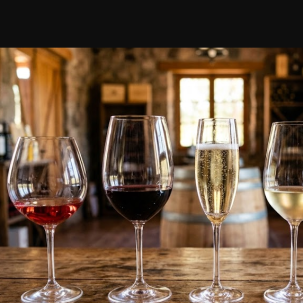 ¿Qué copa usar para cada vino argentino? — ilustración