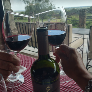 malbec en argentina