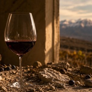 Malbec de Mendoza vs Salta: ¿cuál es la diferencia? - ilustracion