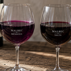 Malbec de Mendoza vs Salta: ¿cuál es la diferencia? — ilustración