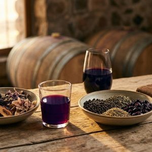 Syrah vs Malbec argentino: ¿cuál es tu tinto? - ilustracion