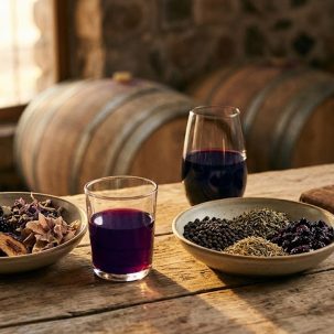 Syrah vs Malbec argentino: ¿cuál es tu tinto? - ilustracion
