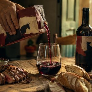 Vino Toro – Descubre los mejores vinos de Argentina - ilustracion