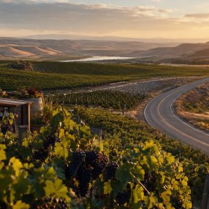 Vinos de Washington State: regiones y rutas 2026 - ilustracion